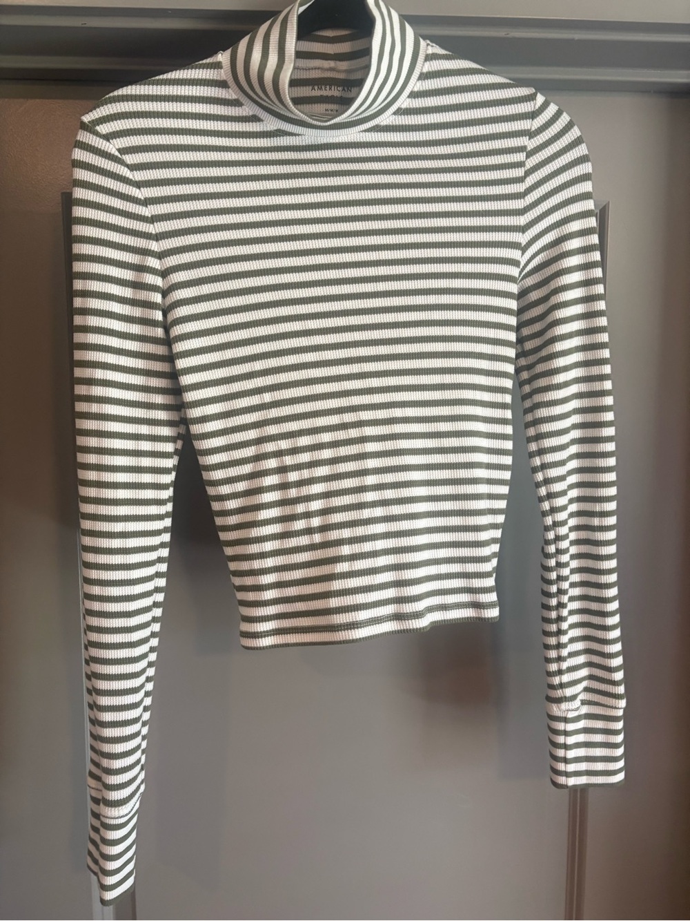 American Eagle Outfitters Striped Mock Neck Long Sleeve Top in Green and White